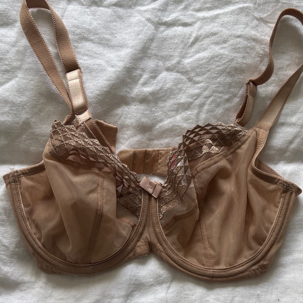 Unworn Lace Bra - Cleo by Panache 34F